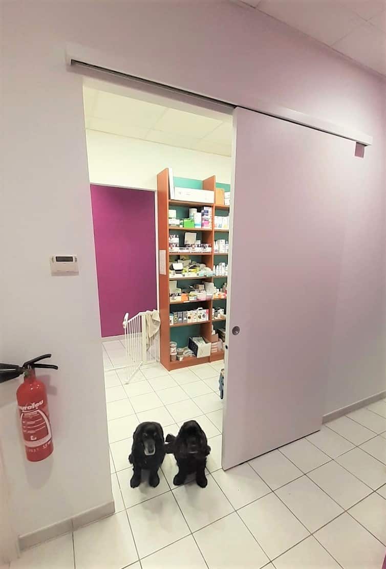 Porte coulissante sur mesure clinique vétérinaire Vet'Hirsingue